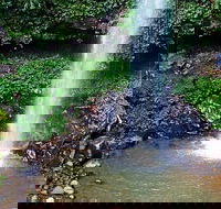 Crystal Shower Falls Walk - Kawana Tourism