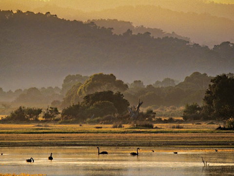 Greens Beach - Kawana Tourism 0