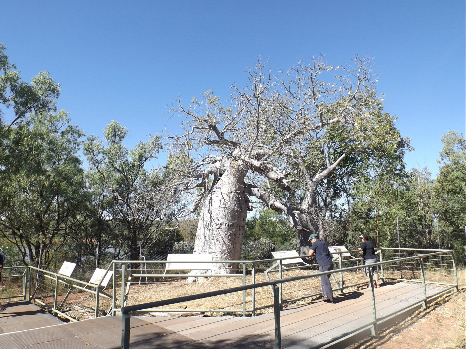 Gregory NT Kawana Tourism