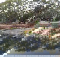 Green Corridor Walking Track - Kawana Tourism