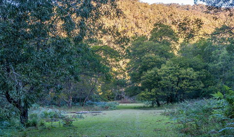 Griffins Walking Track - Kawana Tourism 0