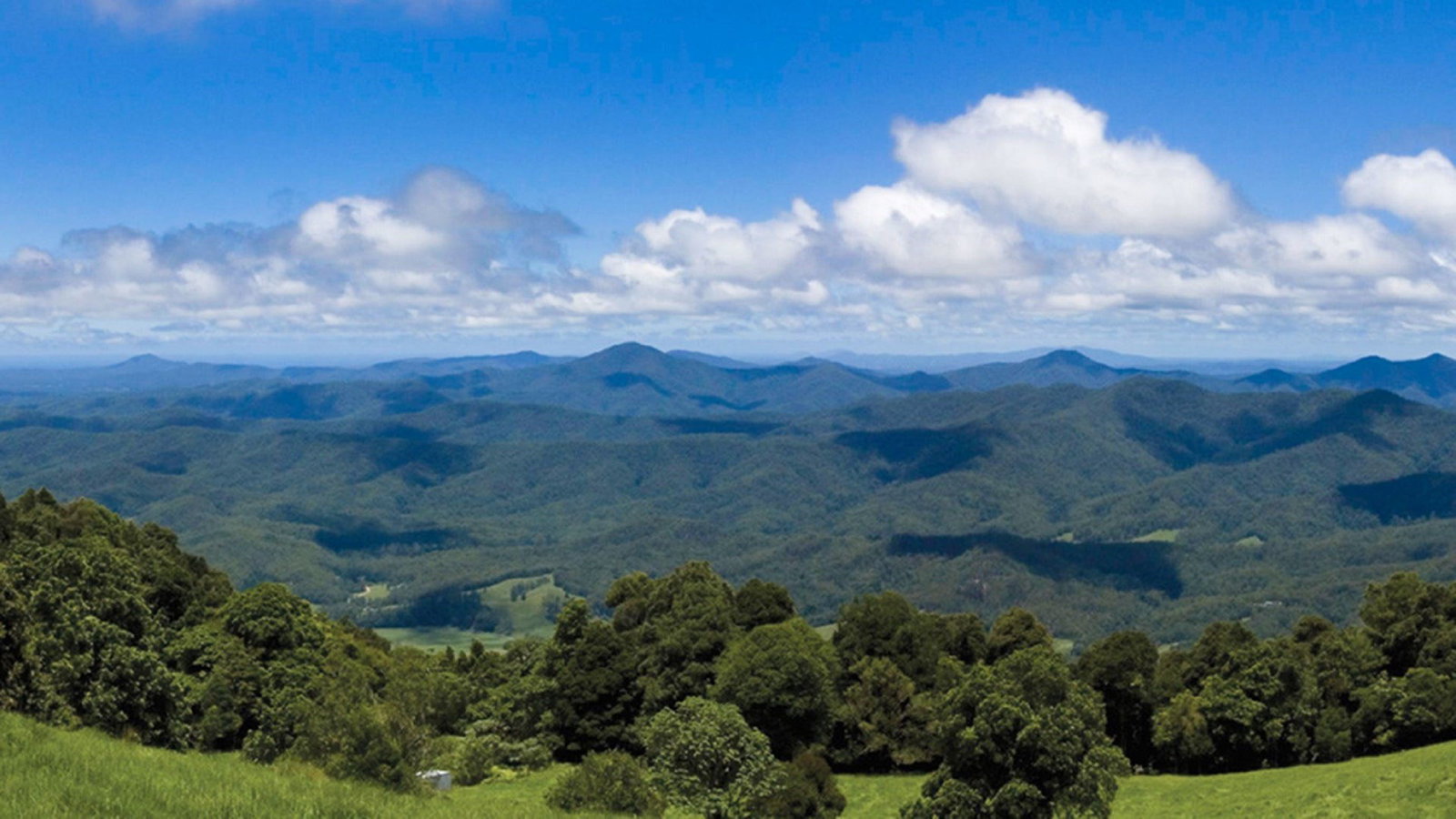 North Dorrigo NSW Kawana Tourism