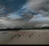 Hardwicke Bay - Kawana Tourism