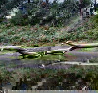 Kayaking Upper Tuross River and Bumbo Lake - Kawana Tourism