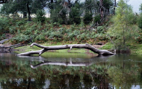 Kayaking Upper Tuross River And Bumbo Lake - Kawana Tourism 0