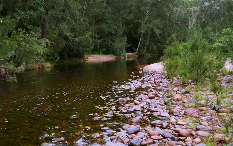 Kayaking Upper Tuross River And Bumbo Lake - Kawana Tourism 1