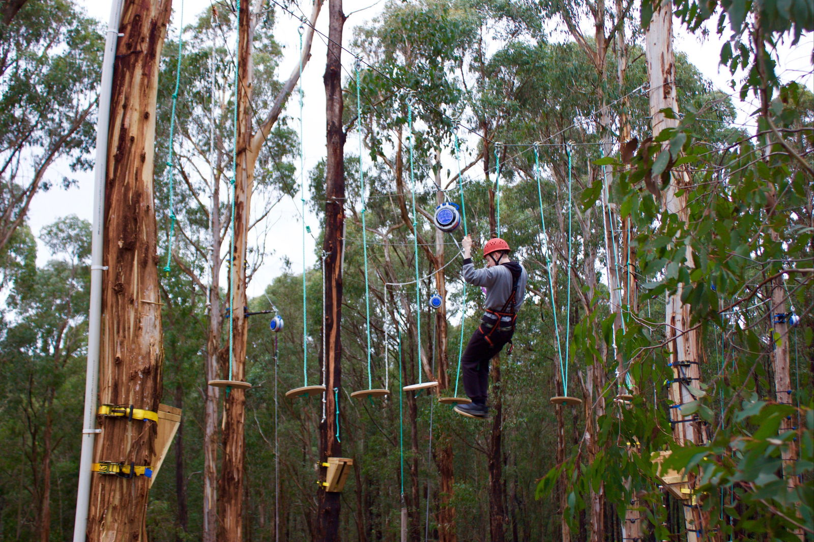 Kinglake West VIC Kawana Tourism