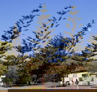 Kurrawa Park - Kawana Tourism