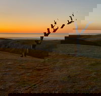 Lessismore Farm Afternoon Farmer - Kawana Tourism