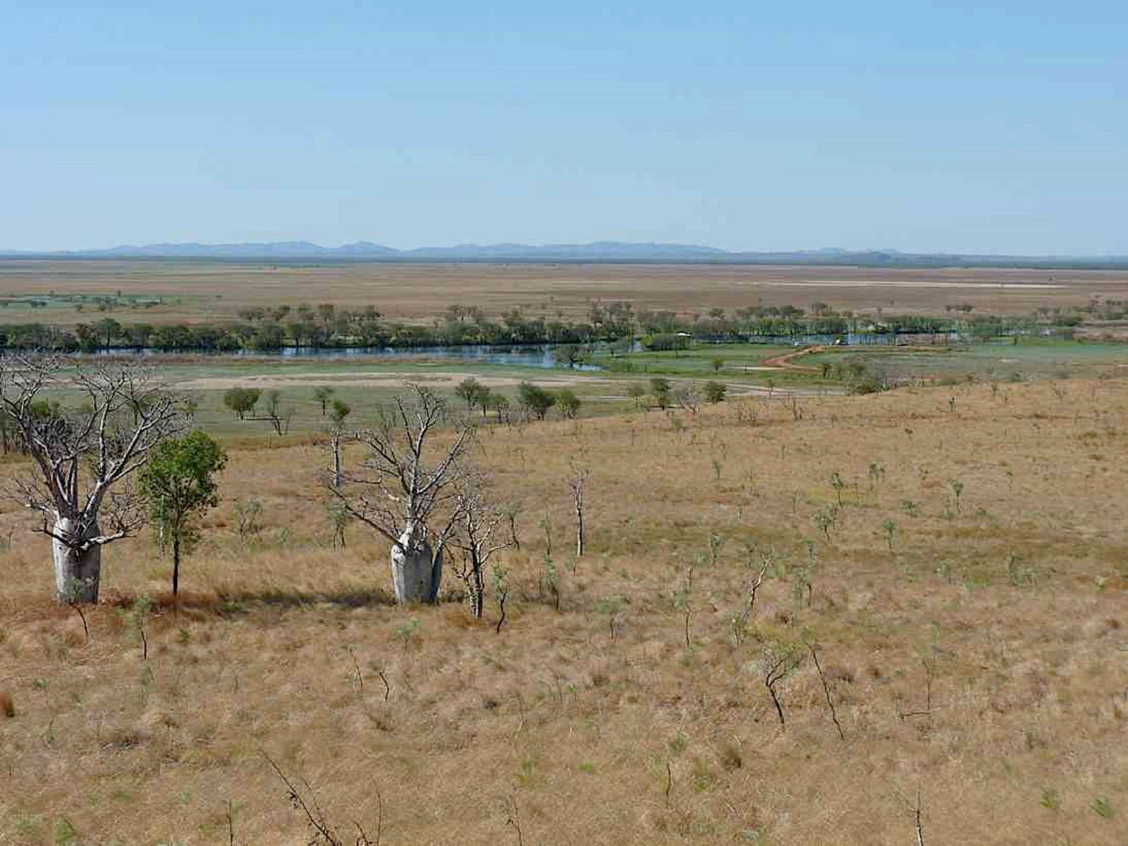 Kawana Tourism