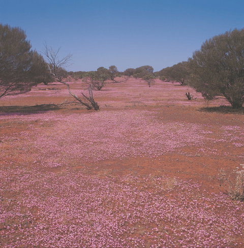 Meekatharra - Kawana Tourism 0