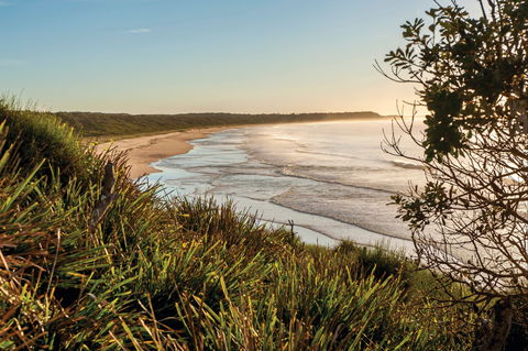Murramarang National Park - Kawana Tourism 0