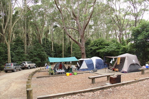 Murramarang National Park - Kawana Tourism 2