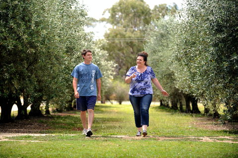 Olives Of Beaulieu - Kawana Tourism 0