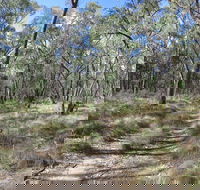 Reef Hills State Park - Kawana Tourism