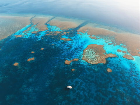 Rowley Shoals - Kawana Tourism 1