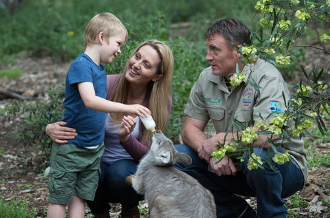 Tamworth Marsupial Park And Adventure Playground - Kawana Tourism 0