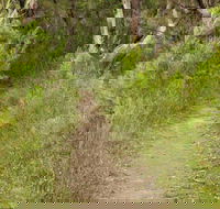 Three Views walking track - Kawana Tourism