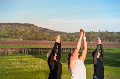 True North Yoga - Kawana Tourism 2
