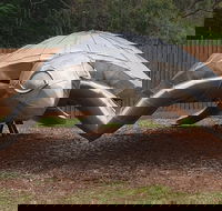 Underwater Marine Sculptures - Kawana Tourism