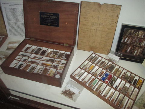 UQ Marks-Hirschfeld Museum Of Medical History - Kawana Tourism 0