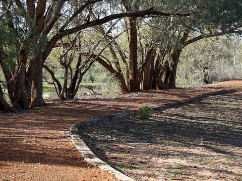Warrego Floodplain Walking Track - Kawana Tourism 0