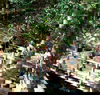 Watagans National Park