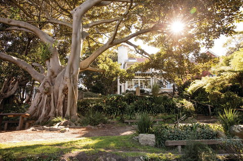 Wendy Whiteley's Secret Garden - Kawana Tourism 0