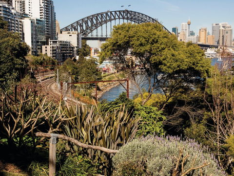 Wendy Whiteley's Secret Garden - Kawana Tourism 2
