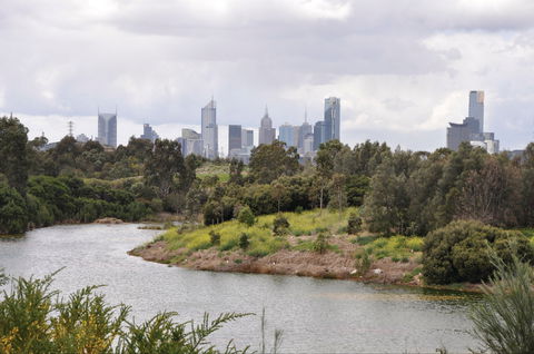 Westgate Park - Kawana Tourism 0