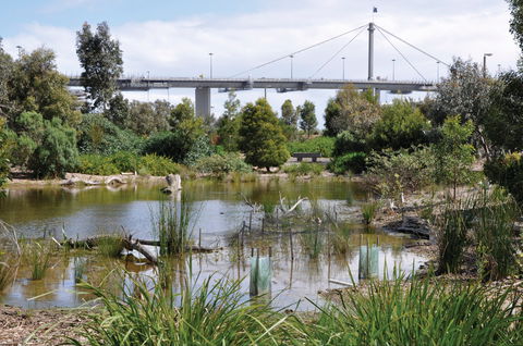 Westgate Park - Kawana Tourism 2