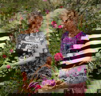 White Cottage - Kawana Tourism