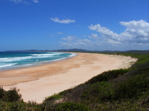 Wilsons Headland - Kawana Tourism 0