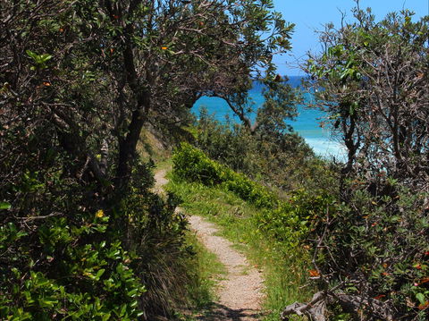 Wilsons Headland - Kawana Tourism 1