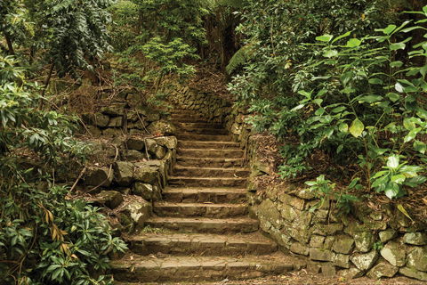 William Ricketts Sanctuary - Kawana Tourism 1
