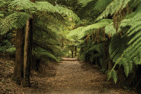 William Ricketts Sanctuary - Kawana Tourism 2