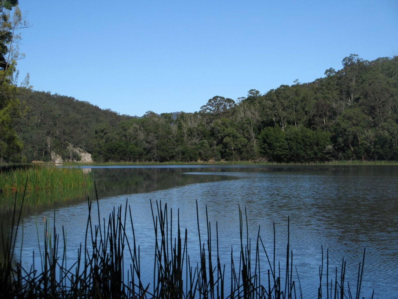  Kawana Tourism