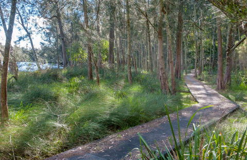 Anabranch Loop Track - Kawana Tourism 0