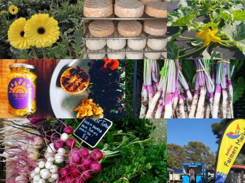 Ballina Farmers Market - Kawana Tourism 1