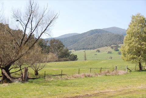 Banimboola Creek Rest Area - Kawana Tourism 0