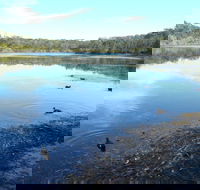 Berrara Creek - Kawana Tourism