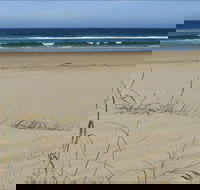 Bongil Beach - Kawana Tourism