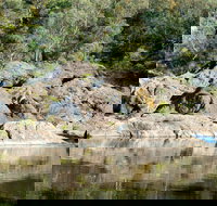 Boonoo Boonoo National Park - Kawana Tourism