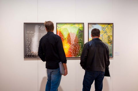 Caboolture Regional Art Gallery - Kawana Tourism 0