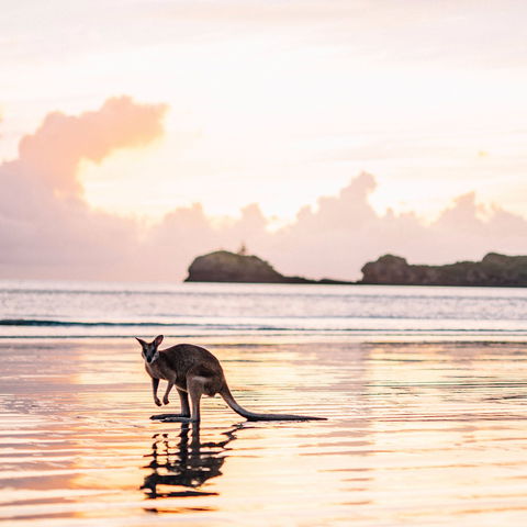 Cape Hillsborough – A Low Tide Fishing Adventure - Kawana Tourism 0