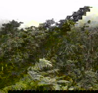 Cascade National Park - Kawana Tourism