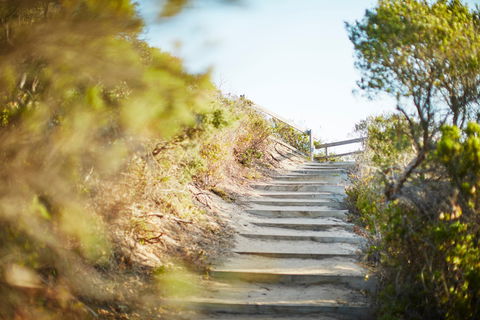 Coppins Walk Track (part Of The Coastal Walk) - Kawana Tourism 0