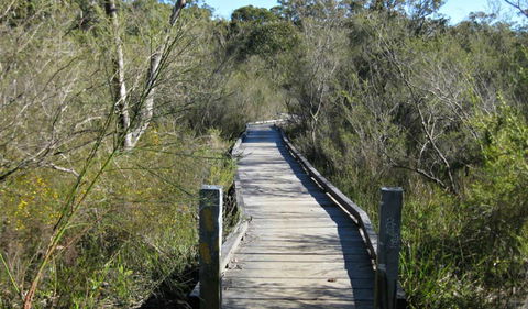 Falcon Crescent Link Track - Kawana Tourism 0