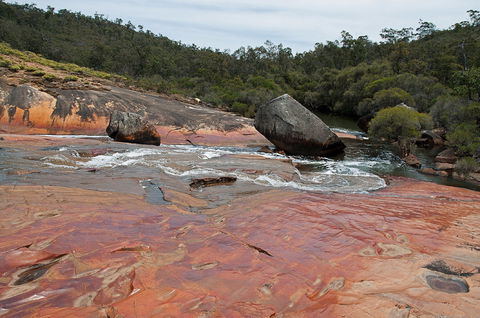 FR Berry Reserve - Kawana Tourism 0