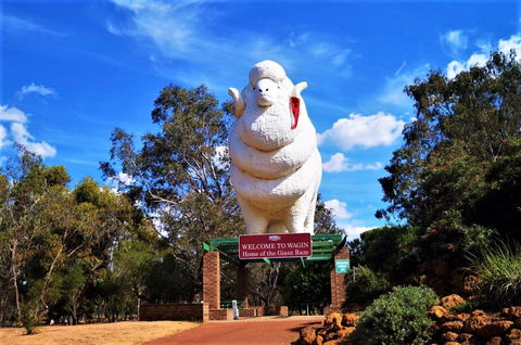 Giant Ram Park - Kawana Tourism 0